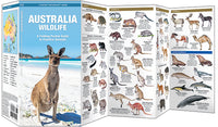 Waterford-Australian Wildlife
