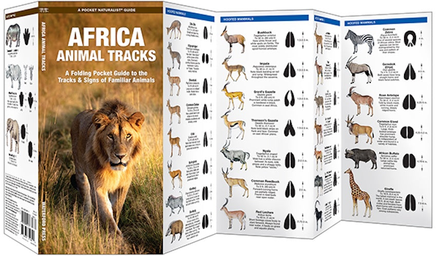 Waterford-African Animal Tracks