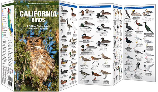 Waterford-California Birds