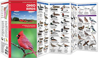 Vogelgids Ohio Birds