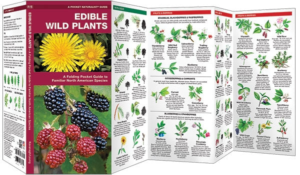 Waterford-Edible Wild Plants (North American Species)