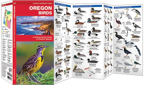 Vogelgids Oregon Birds