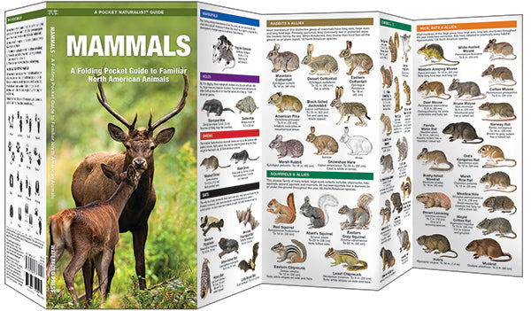 Waterford-Mammals-A Folding Pocket Guide to Familiar North American Animals