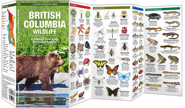 Nature Guide-British Columbia Wildlife