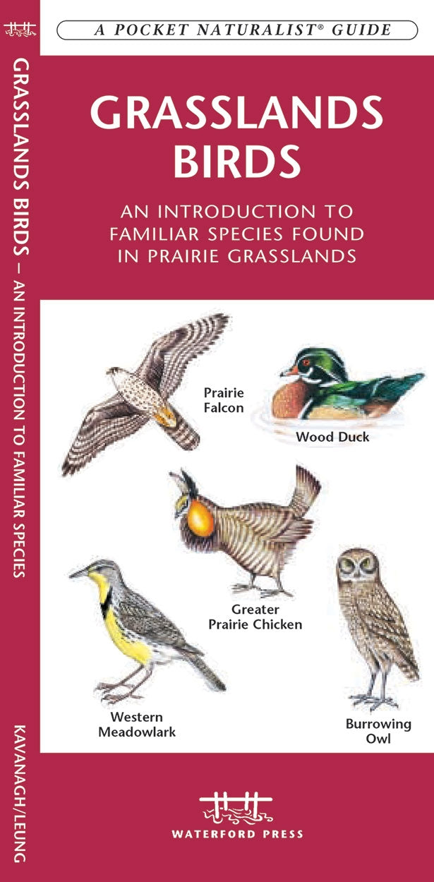 Vogelgids Grasslands Birds