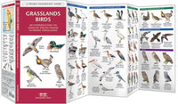 Vogelgids Grasslands Birds