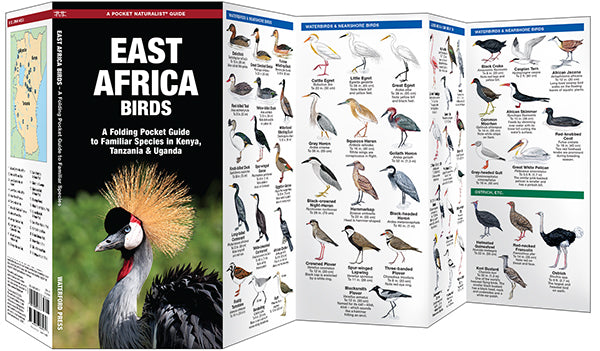 Waterford-East Africa Birds