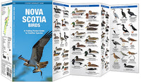 Waterford-Nova Scotia Birds