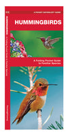 Waterford Hummingbirds (2013)