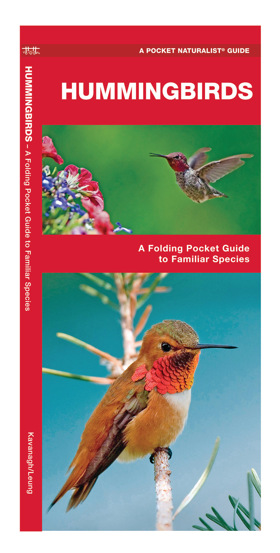 Waterford Hummingbirds (2013)
